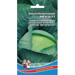 Капуста лежкая зимняя белокочанная