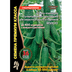 Морковь Сентябрина