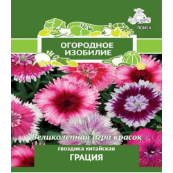 Гвоздика Грация китайская