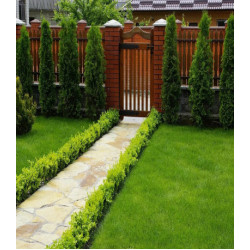 Газон Вдоль дорожки