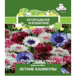 Василёк Летние каникулы