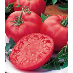 Томат Биф Пинк Бренди F1
