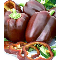 Перец Сладкий шоколад
